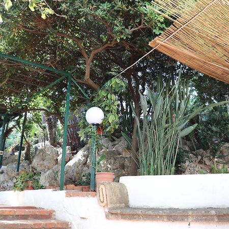 Willa Casa Elvira Terrasini Zewnętrze zdjęcie